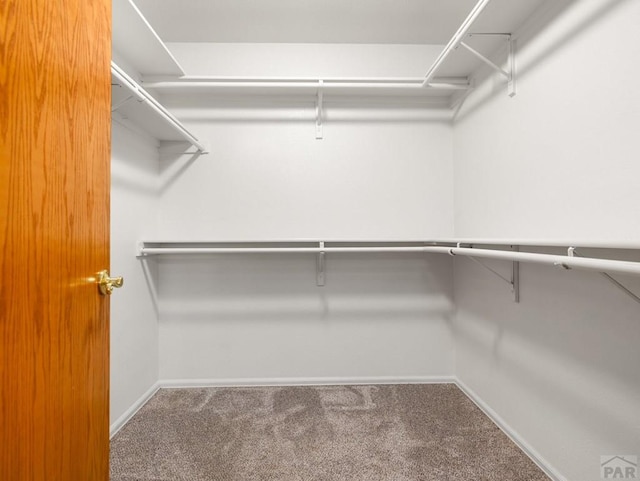 141 W Glenrose Dr, Pueblo West, CO 81007 - photo 26