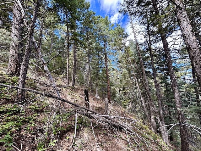 view of nature with a forest view