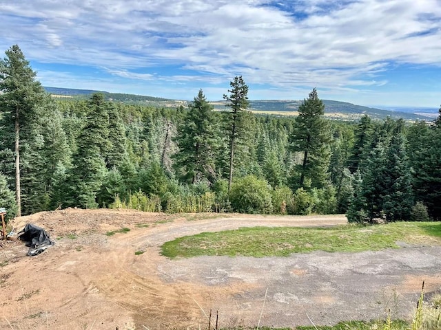 mountain view with a wooded view