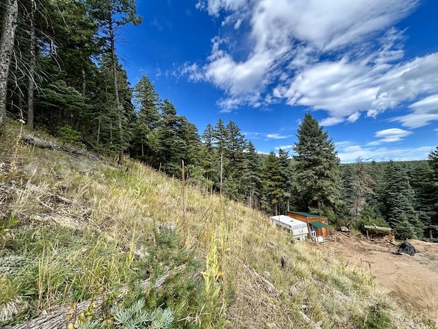 view of local wilderness featuring a wooded view