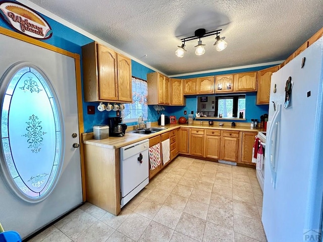 kitchen featuring a textured ceiling, white appliances, a sink, light countertops, and brown cabinetry