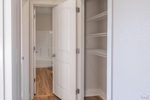 view of closet