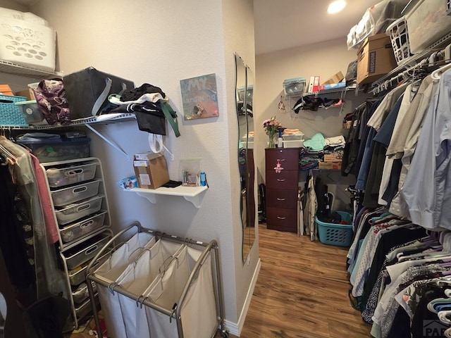 walk in closet featuring wood finished floors