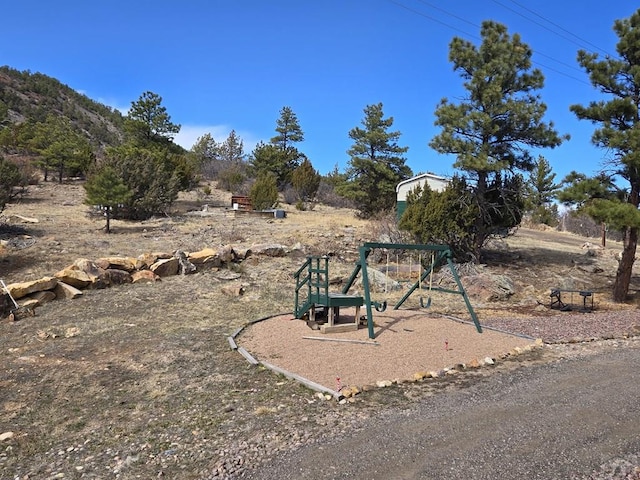 view of jungle gym