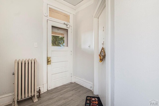 entryway featuring baseboards, wood finished floors, and radiator