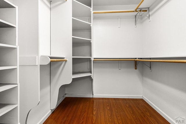465 W Palmer Lake Dr, Pueblo West, CO 81007 - walk in closet with wood finished floors