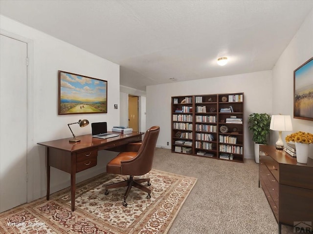 office area featuring light colored carpet