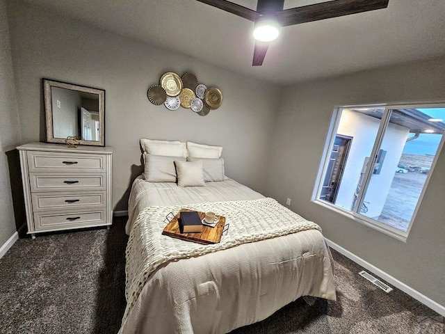1488 E Laramie Ave, Pueblo West, CO 81007 - photo 25