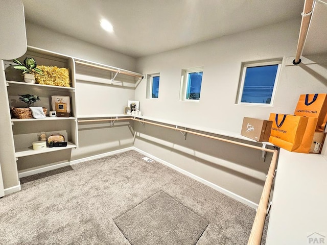 1488 E Laramie Ave, Pueblo West, CO 81007 - photo 20