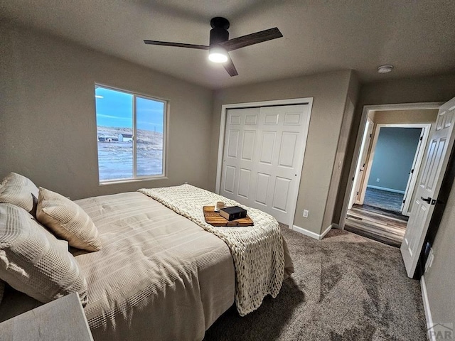 1488 E Laramie Ave, Pueblo West, CO 81007 - photo 24