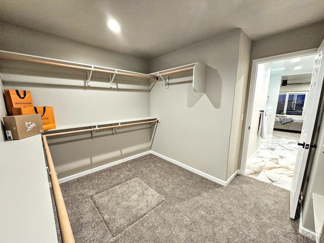1488 E Laramie Ave, Pueblo West, CO 81007 - photo 18