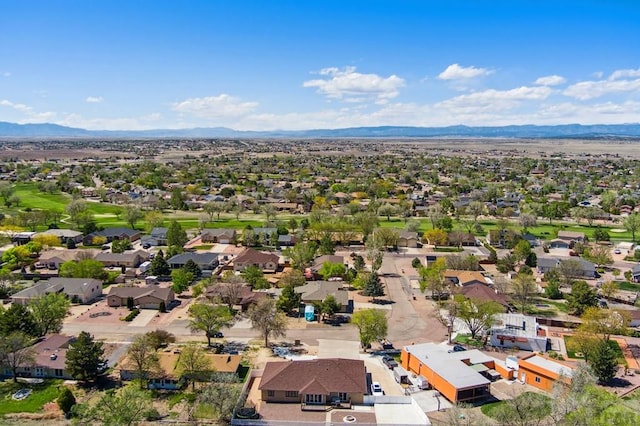 408 S Birdie Dr, Pueblo West, CO 81007 - photo 44