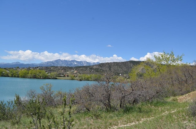 TBD Los Cerritos Dr, Colorado City, CO 81019 - photo 12