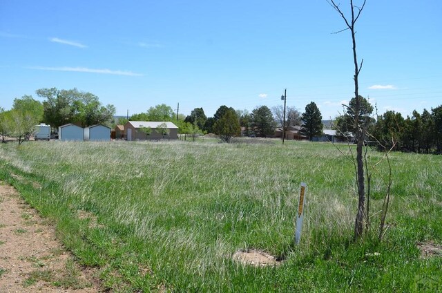 TBD Los Cerritos Dr, Colorado City, CO 81019 - photo 5