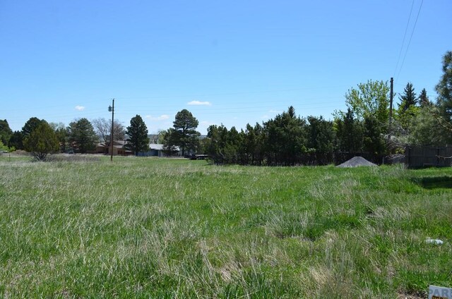 TBD Los Cerritos Dr, Colorado City, CO 81019 - photo 9