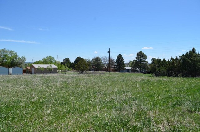 TBD Los Cerritos Dr, Colorado City, CO 81019 - photo 11
