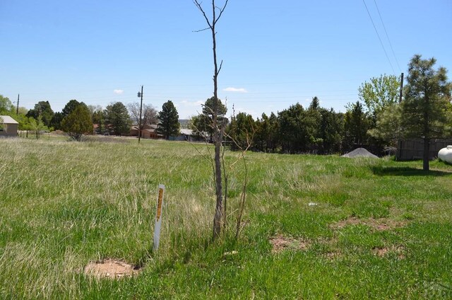 TBD Los Cerritos Dr, Colorado City, CO 81019 - photo 7