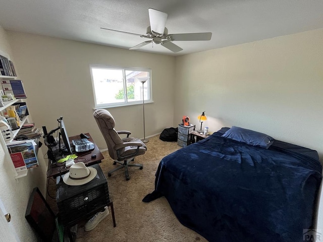 644 S Avenida Del Oro E, Pueblo West, CO 81007 - photo 16