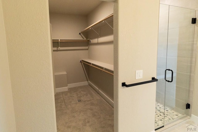 spacious closet with light colored carpet