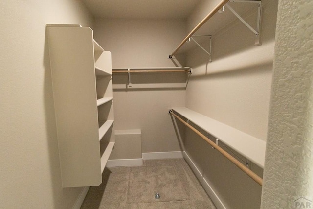 spacious closet featuring carpet