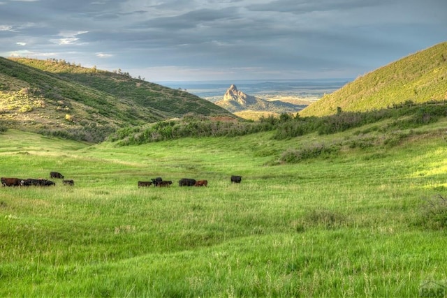 property view of mountains with a rural view