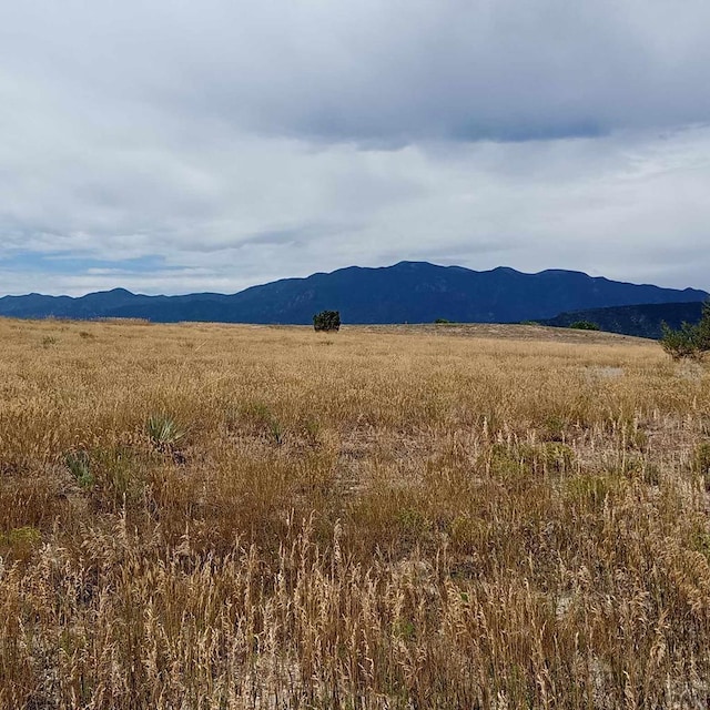 LOT1100 Plum Creek Way, Colorado City, CO 81019