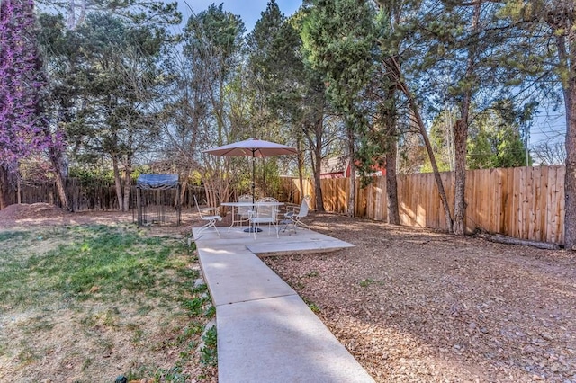 view of yard featuring a patio area and a fenced backyard