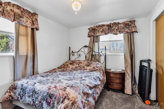 carpeted bedroom with multiple windows