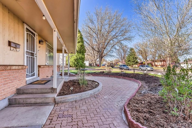 view of yard featuring a residential view and curved driveway