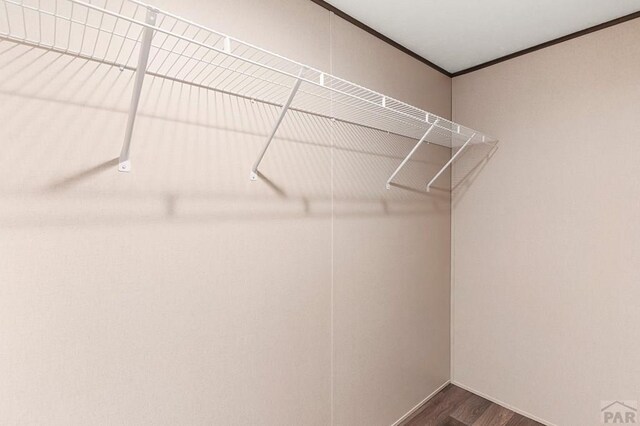 spacious closet with wood finished floors