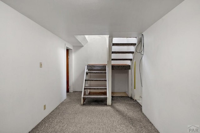 1638 Jackson St, Pueblo, CO 81004 - stairs with carpet floors