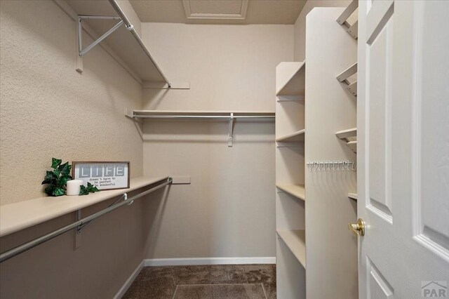 4153 Surfwood Ln Unit 180, Pueblo, CO 81005 - photo 26
