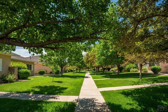 4153 Surfwood Ln Unit 180, Pueblo, CO 81005 - photo 31