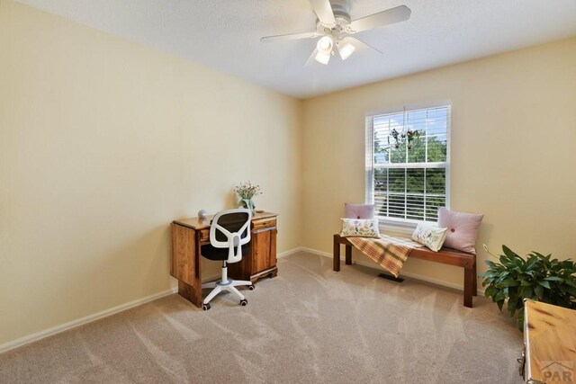 621 Twinflower Dr, Canon City, CO 81212 - office space featuring light carpet and ceiling fan