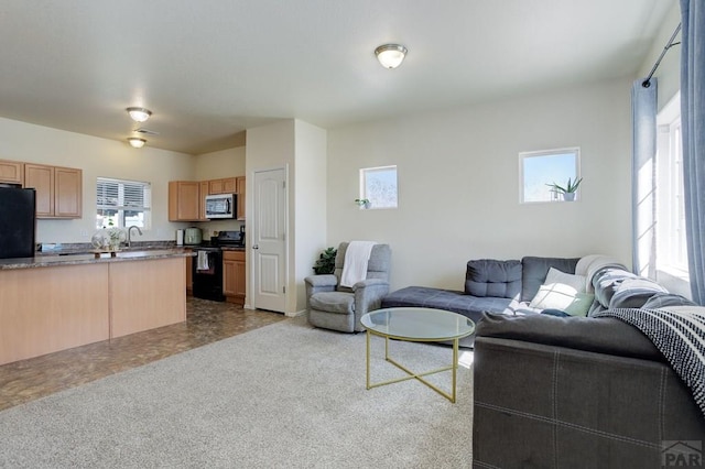 2025 Oneal Cir, Pueblo, CO 81004 - living area featuring healthy amount of natural light