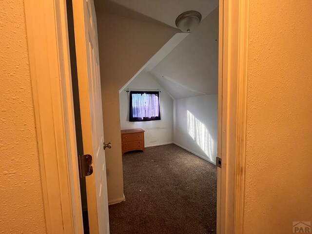 additional living space featuring lofted ceiling and carpet