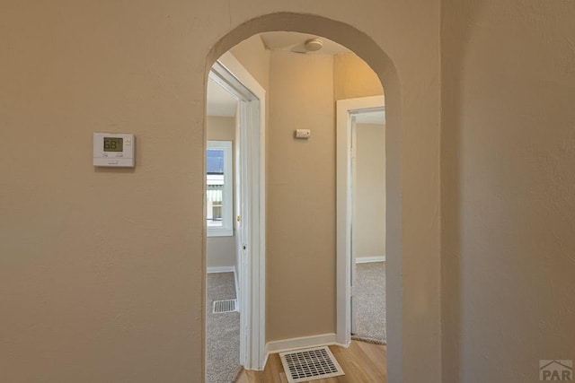 1902 E 12th St, Pueblo, CO 81001 - corridor with arched walkways, light wood-type flooring, and baseboards