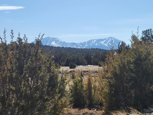 LOT896 Los Vaqueros Cir, Walsenburg CO, 81089 land for sale