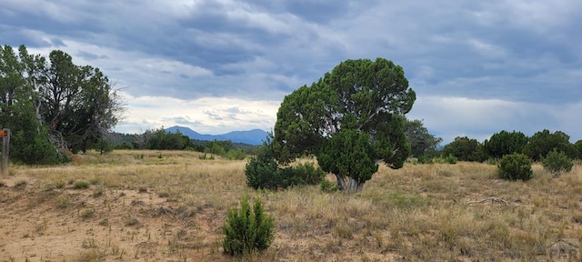 Listing photo 2 for LOT896 Los Vaqueros Cir, Walsenburg CO 81089