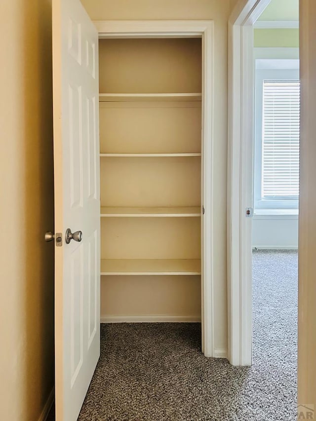 299 W Harmony Dr, Pueblo West, CO 81007 - photo 38