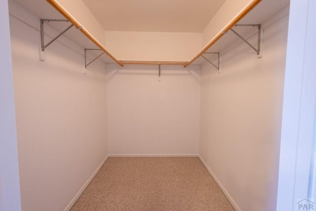 spacious closet with carpet