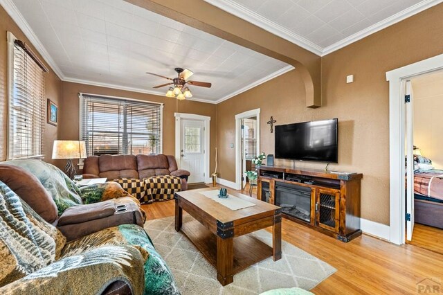 1802 E Routt Ave, Pueblo, CO 81004 - living room featuring crown molding, baseboards, ceiling fan, light wood-style flooring, and a glass covered fireplace