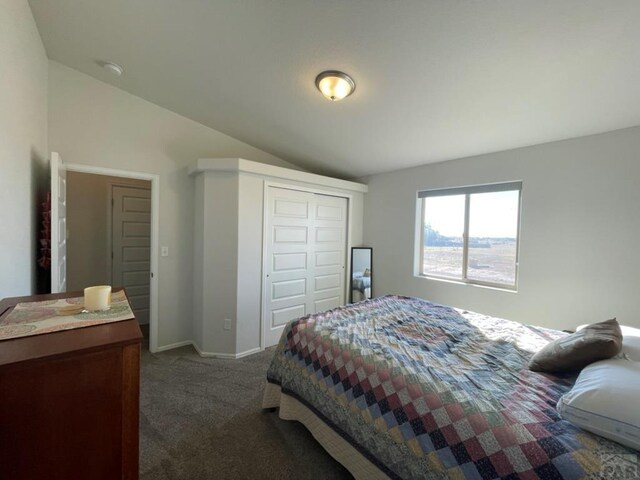 bedroom with lofted ceiling, baseboards, dark colored carpet, and a closet