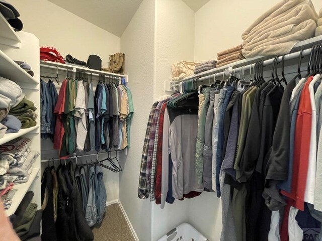 walk in closet with carpet