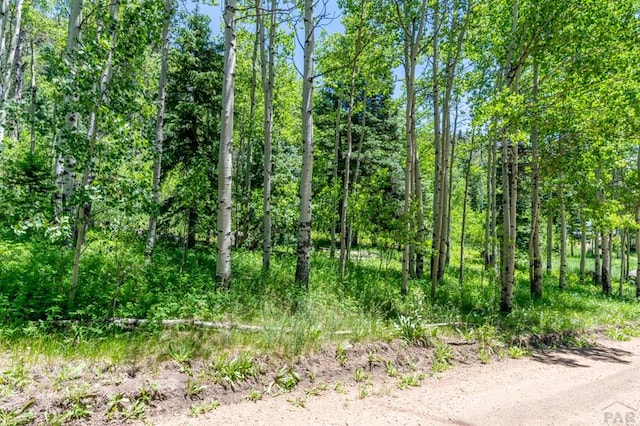 Listing photo 3 for TBD Westcliffe Dr, Rye CO 81069