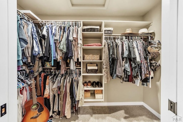 spacious closet with a tray ceiling, carpet, and attic access