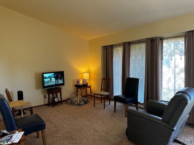 living area with a textured ceiling, baseboards, and carpet flooring