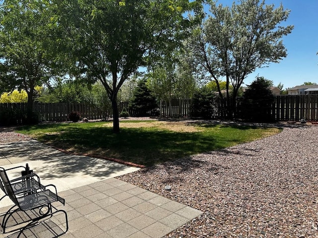 view of yard with a patio area and a fenced backyard