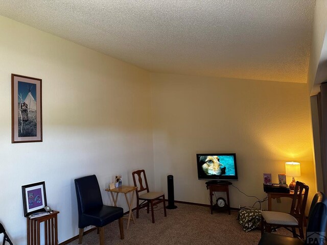 living area with a textured ceiling, carpet, and baseboards