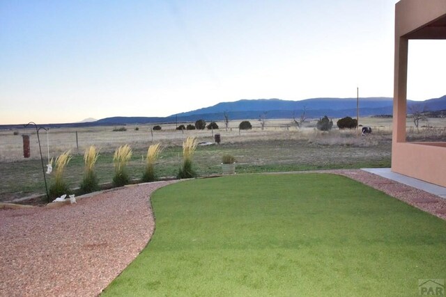 view of yard with a rural view and a mountain view